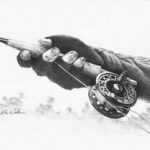 NZFFA - New Zealand Federation of Freshwater Anglers